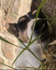 IMG_4221.JPEG