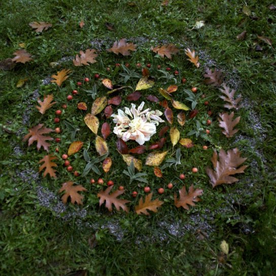 image mandala_DLG23.jpeg (0.3MB)