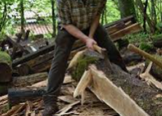 Effondrement et Restauration des "vieux m&eacute;tiers"...