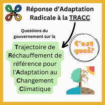 image 1.png (0.2MB)