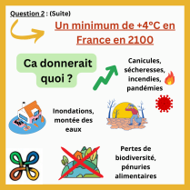 image 4.png (0.3MB)