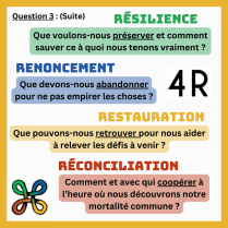 image 6.png (0.2MB)