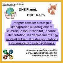 image 7.png (0.3MB)