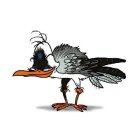 ThibauT_mouette-gaston.jpg