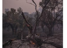 Climat.Ce que ne dit pas le Giec, c&rsquo;est &agrave; quel point notre mode de vie doit changer