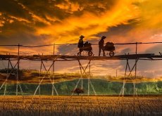 Sciences et imaginaire -  R&eacute;chauffement climatique : la notion d&rsquo;effondrement s&rsquo;est popularis&eacute;e